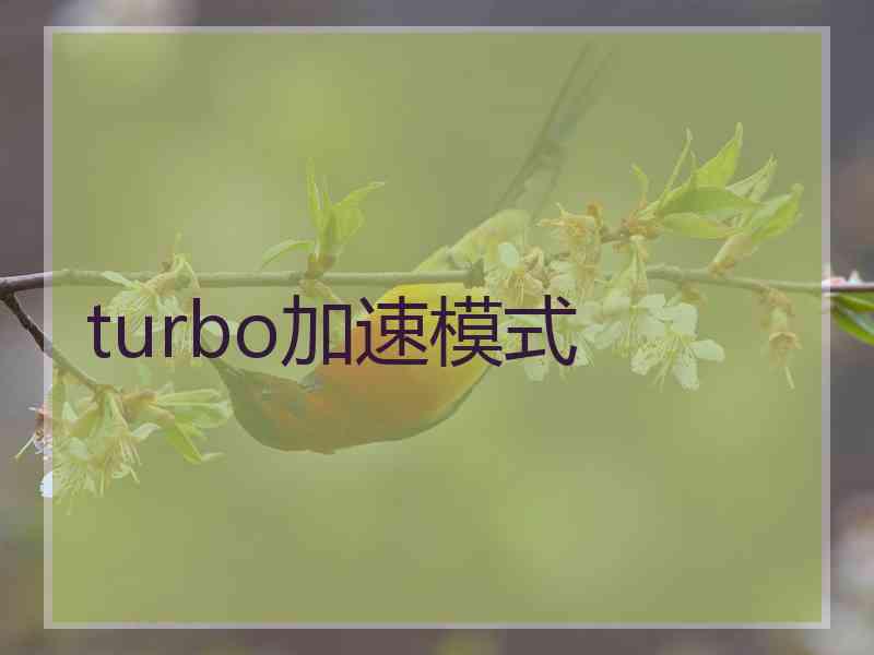 turbo加速模式