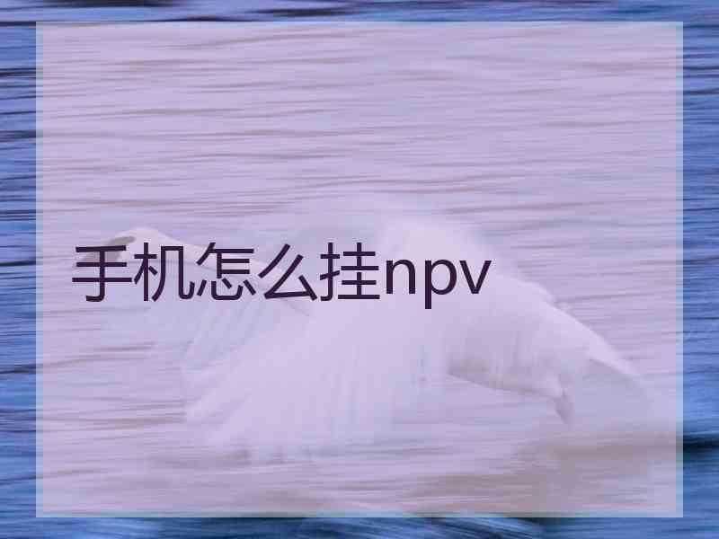 手机怎么挂npv