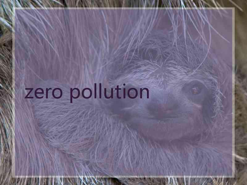 zero pollution