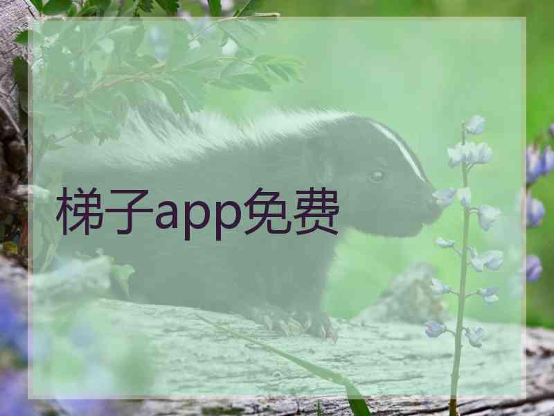 梯子app免费