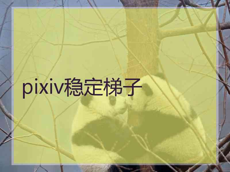 pixiv稳定梯子