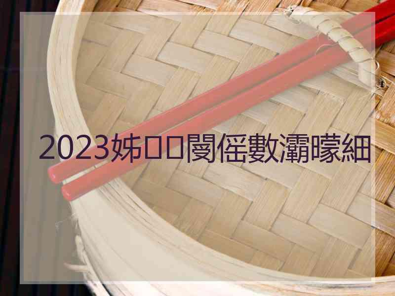 2023姊閿傜數灞曚細