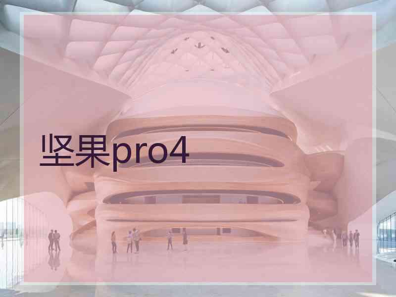 坚果pro4