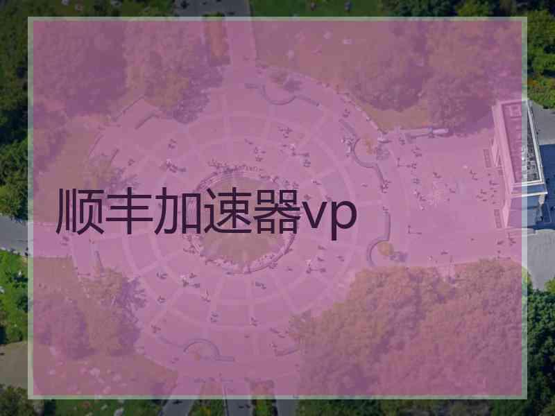 顺丰加速器vp