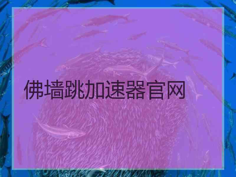 佛墙跳加速器官网