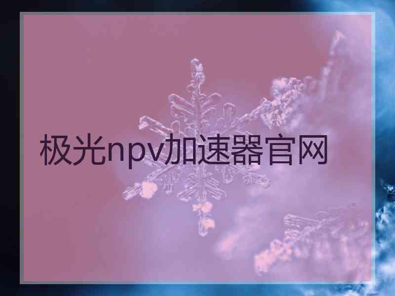 极光npv加速器官网