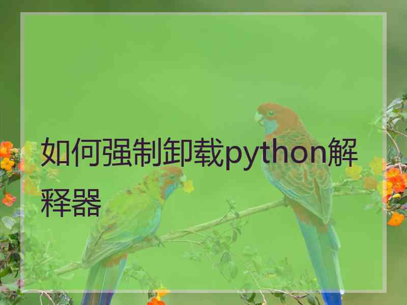 如何强制卸载python解释器