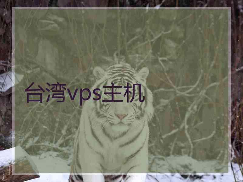 台湾vps主机