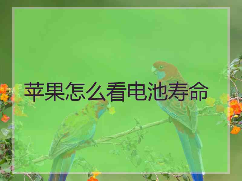 苹果怎么看电池寿命