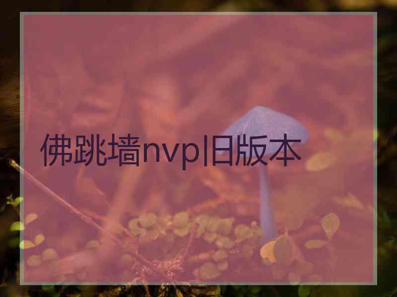 佛跳墙nvp旧版本