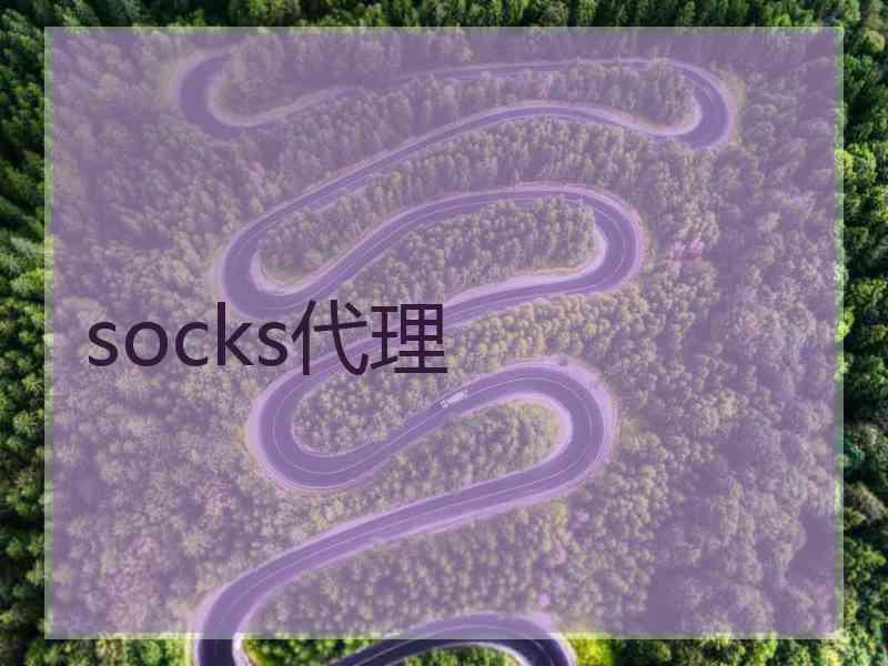 socks代理