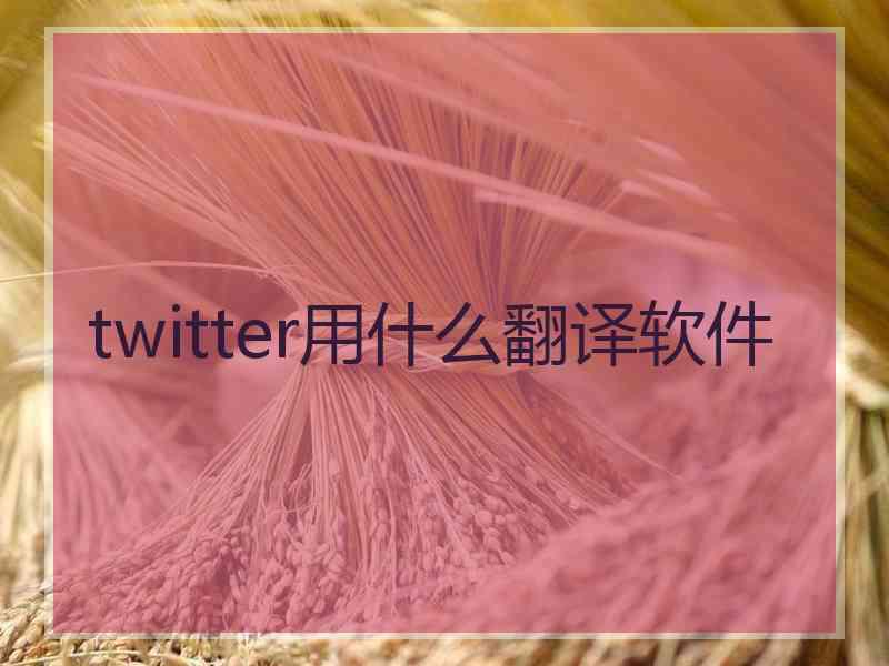 twitter用什么翻译软件