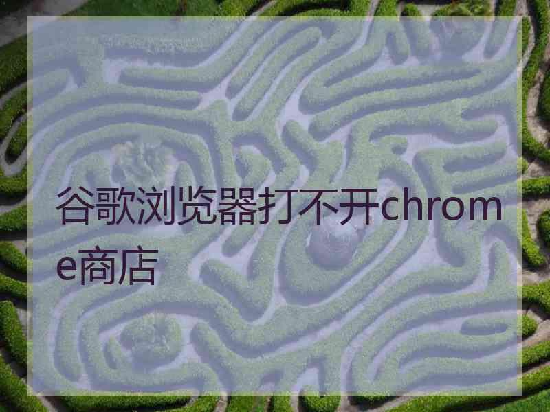 谷歌浏览器打不开chrome商店