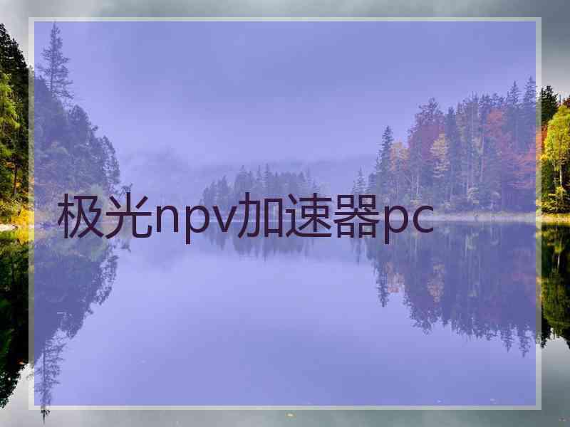 极光npv加速器pc