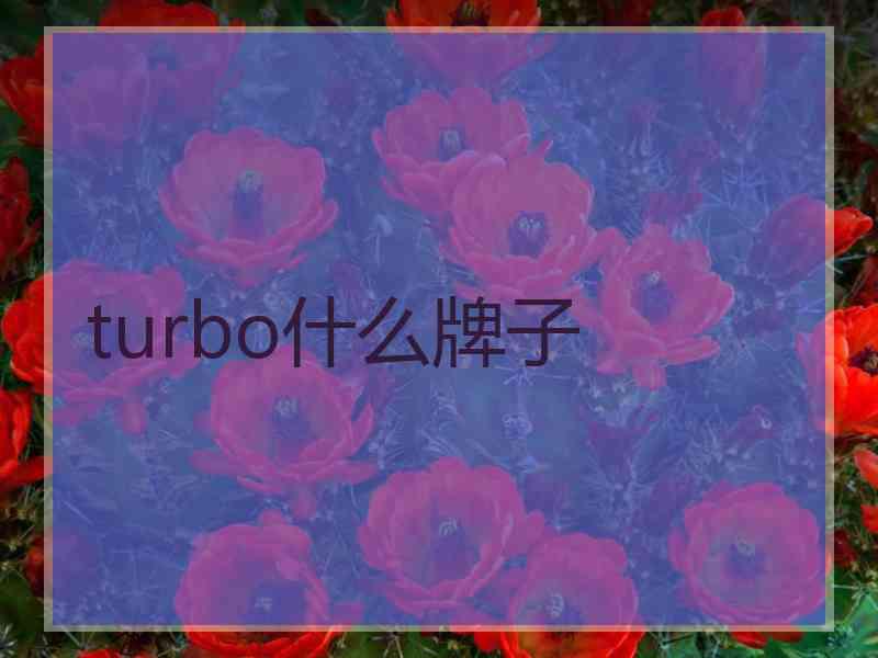 turbo什么牌子