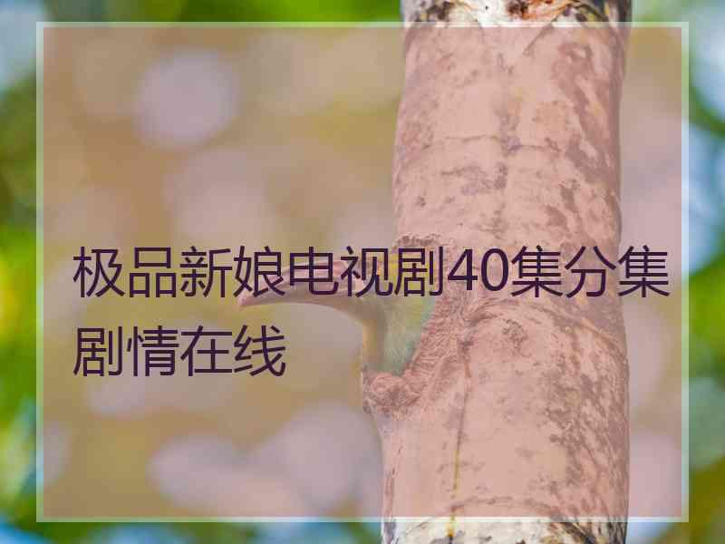 极品新娘电视剧40集分集剧情在线