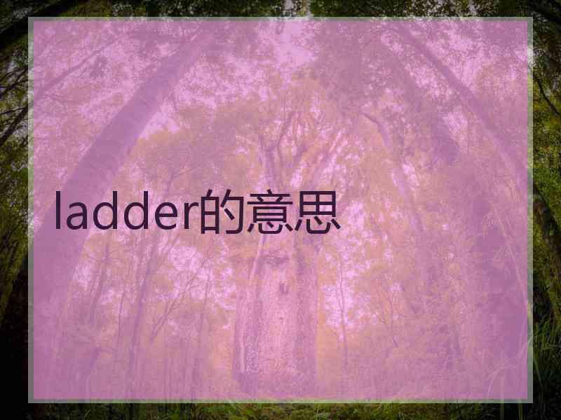 ladder的意思