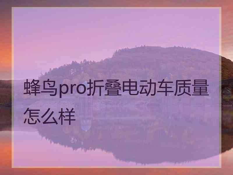 蜂鸟pro折叠电动车质量怎么样