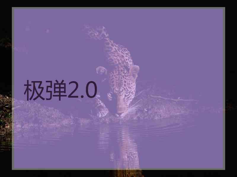 极弹2.0