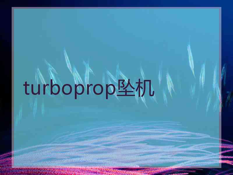 turboprop坠机