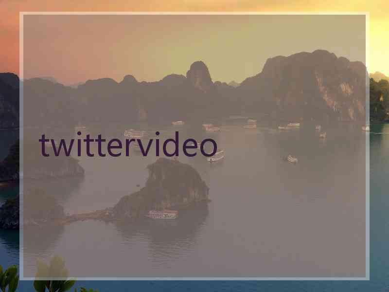 twittervideo