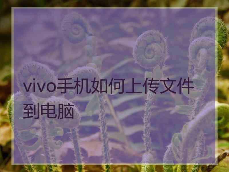 vivo手机如何上传文件到电脑