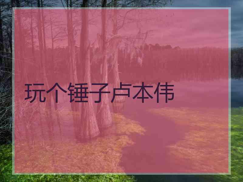 玩个锤子卢本伟