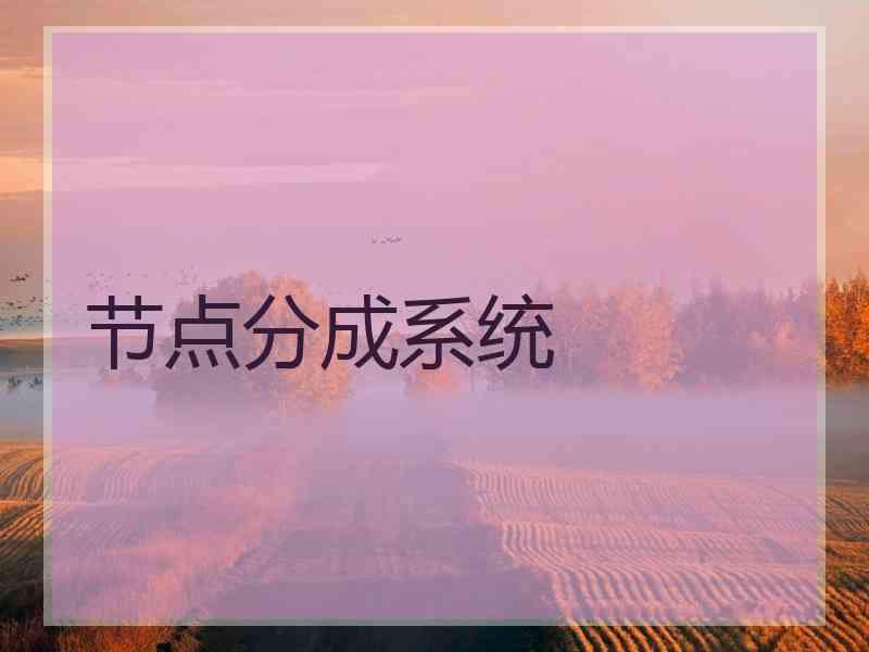 节点分成系统