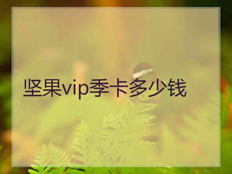 坚果vip季卡多少钱