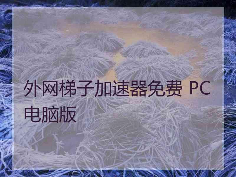 外网梯子加速器免费 PC电脑版