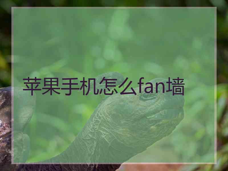 苹果手机怎么fan墙