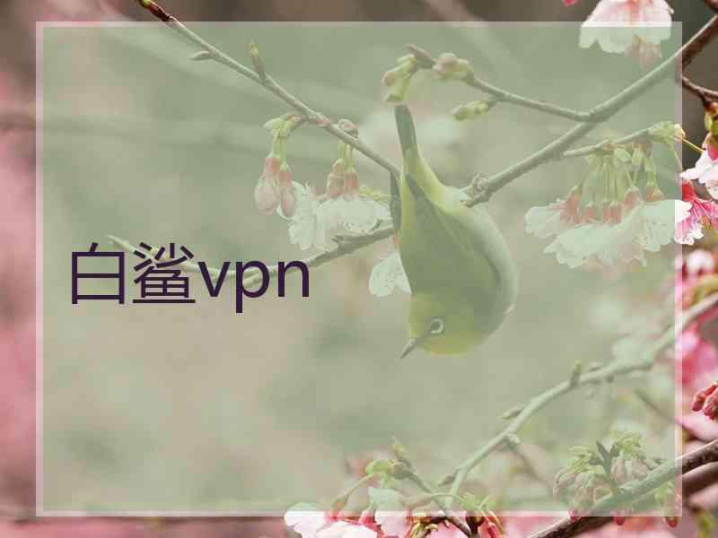 白鲨vpn