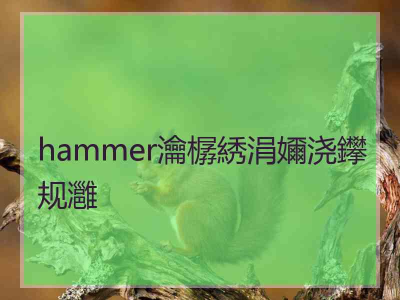 hammer瀹樼綉涓嬭浇鑻规灉