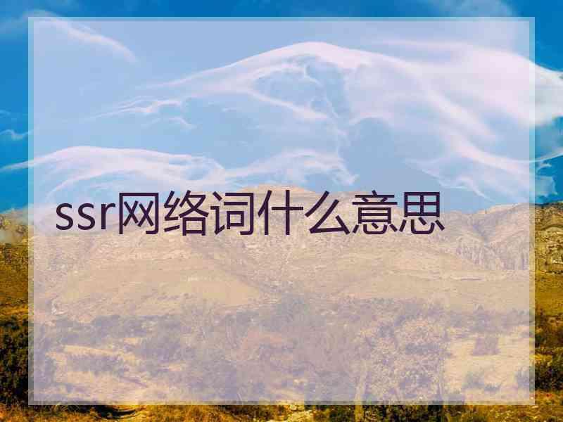 ssr网络词什么意思