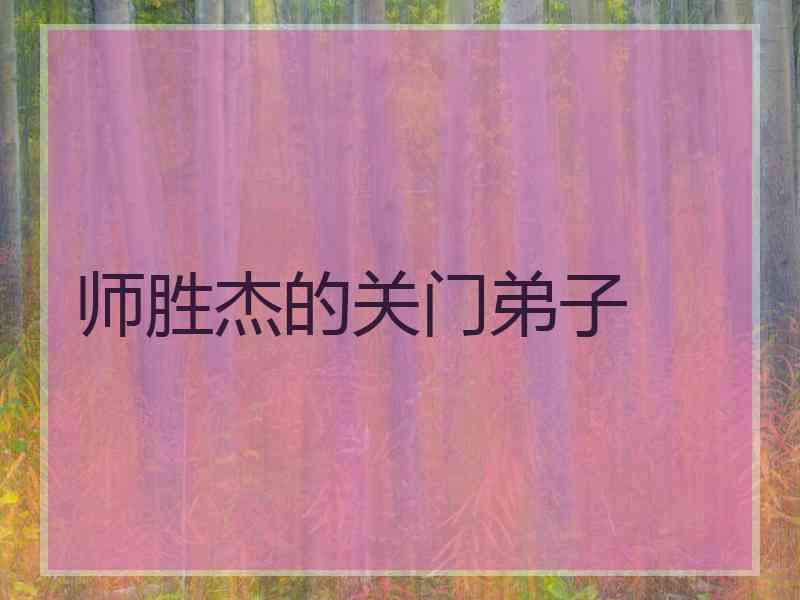 师胜杰的关门弟子