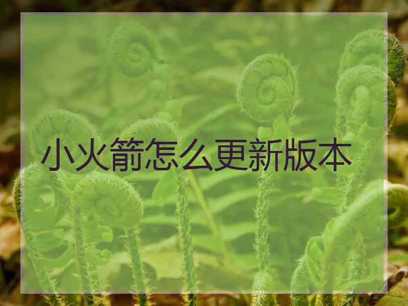 小火箭怎么更新版本