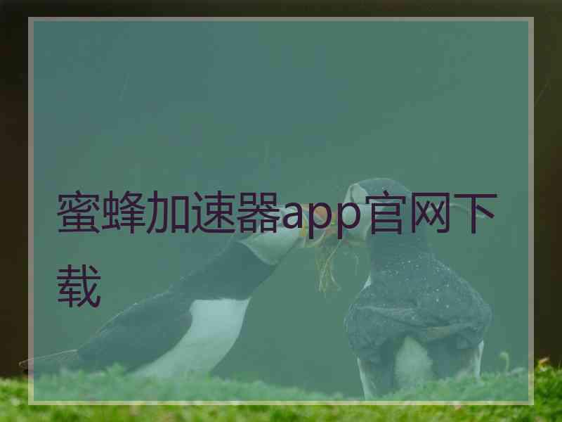 蜜蜂加速器app官网下载