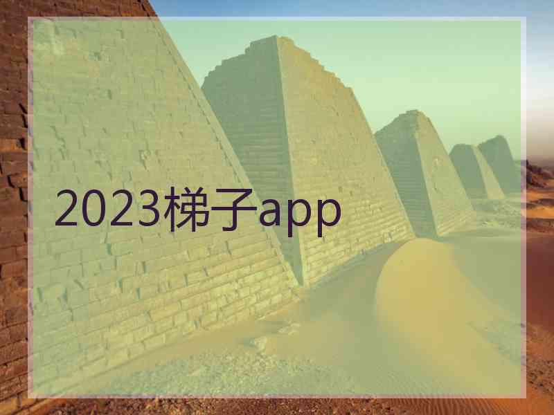 2023梯子app