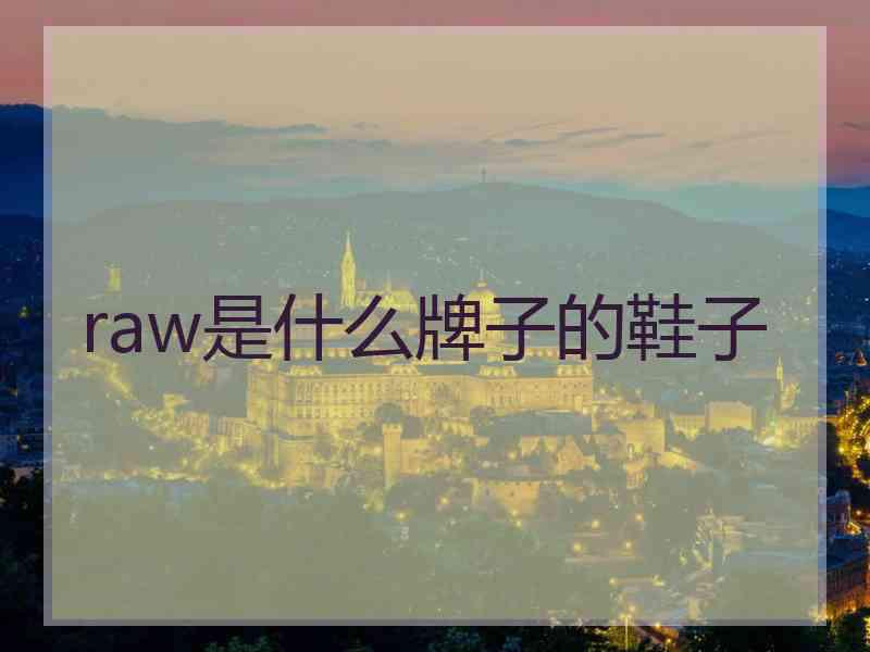 raw是什么牌子的鞋子