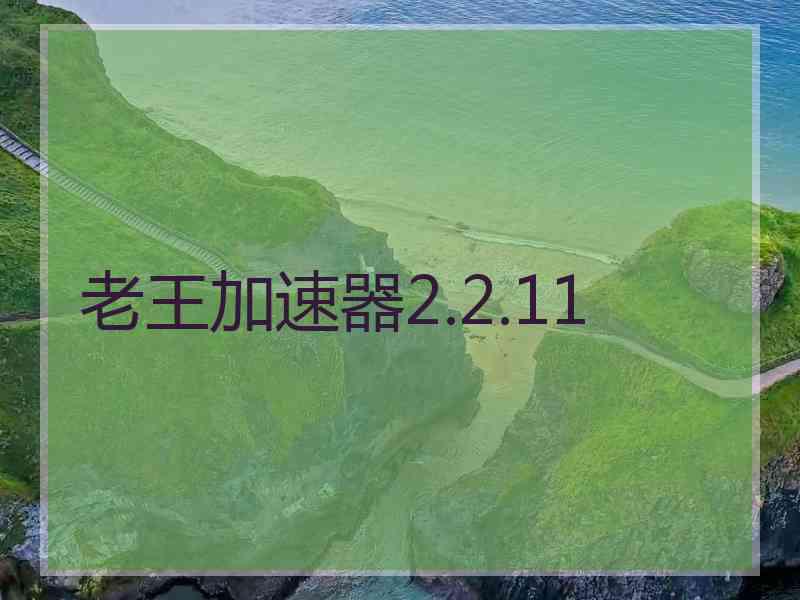 老王加速器2.2.11