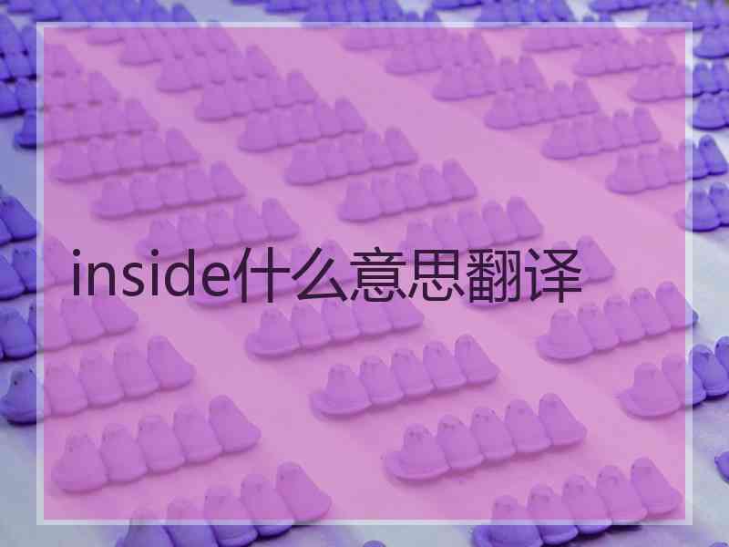 inside什么意思翻译