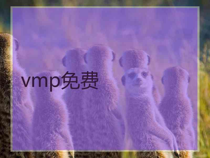 vmp免费