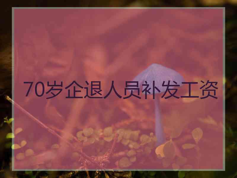 70岁企退人员补发工资