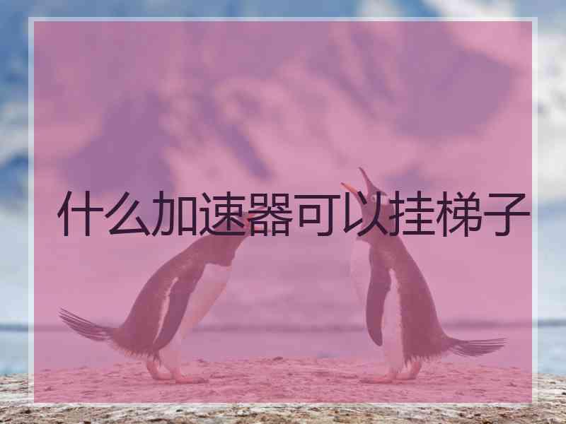 什么加速器可以挂梯子