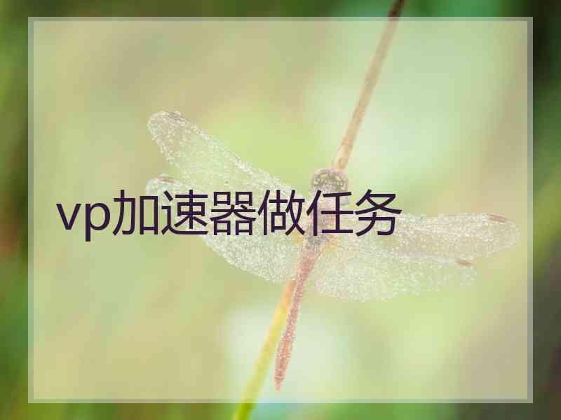 vp加速器做任务