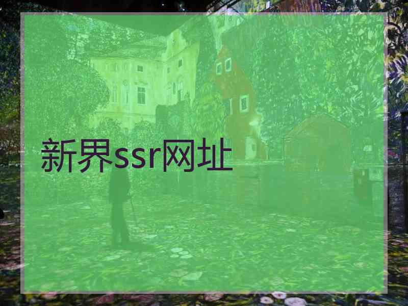 新界ssr网址