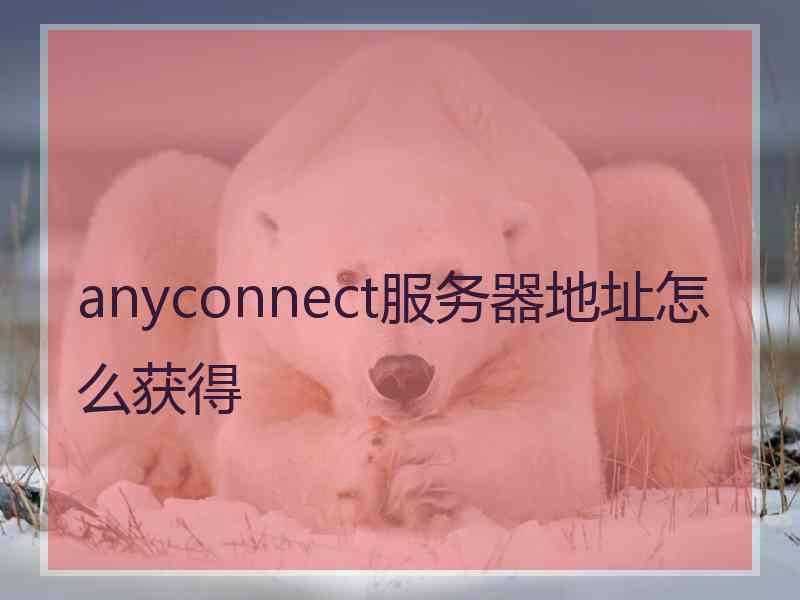 anyconnect服务器地址怎么获得