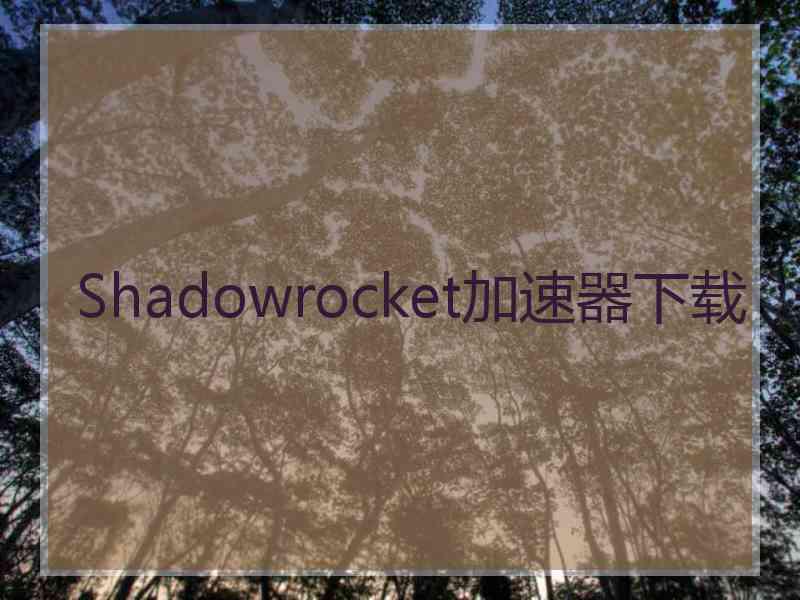 Shadowrocket加速器下载