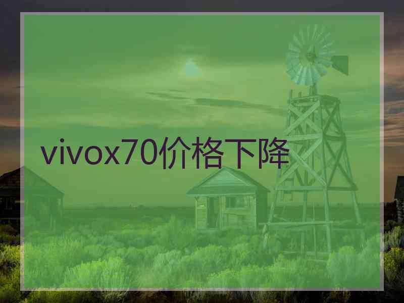 vivox70价格下降