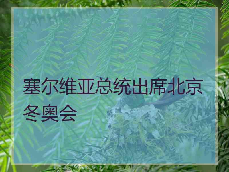 塞尔维亚总统出席北京冬奥会